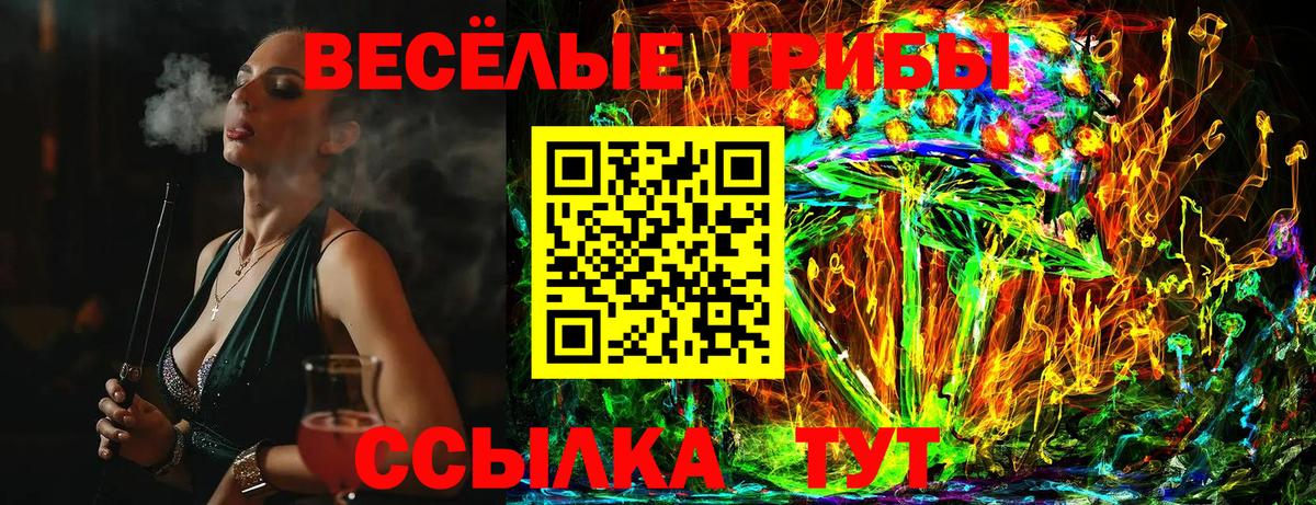 Галлюциногенные грибы Cubensis  Псилоцибиновые грибы Cubensis  Вход с VPN  Сокол 